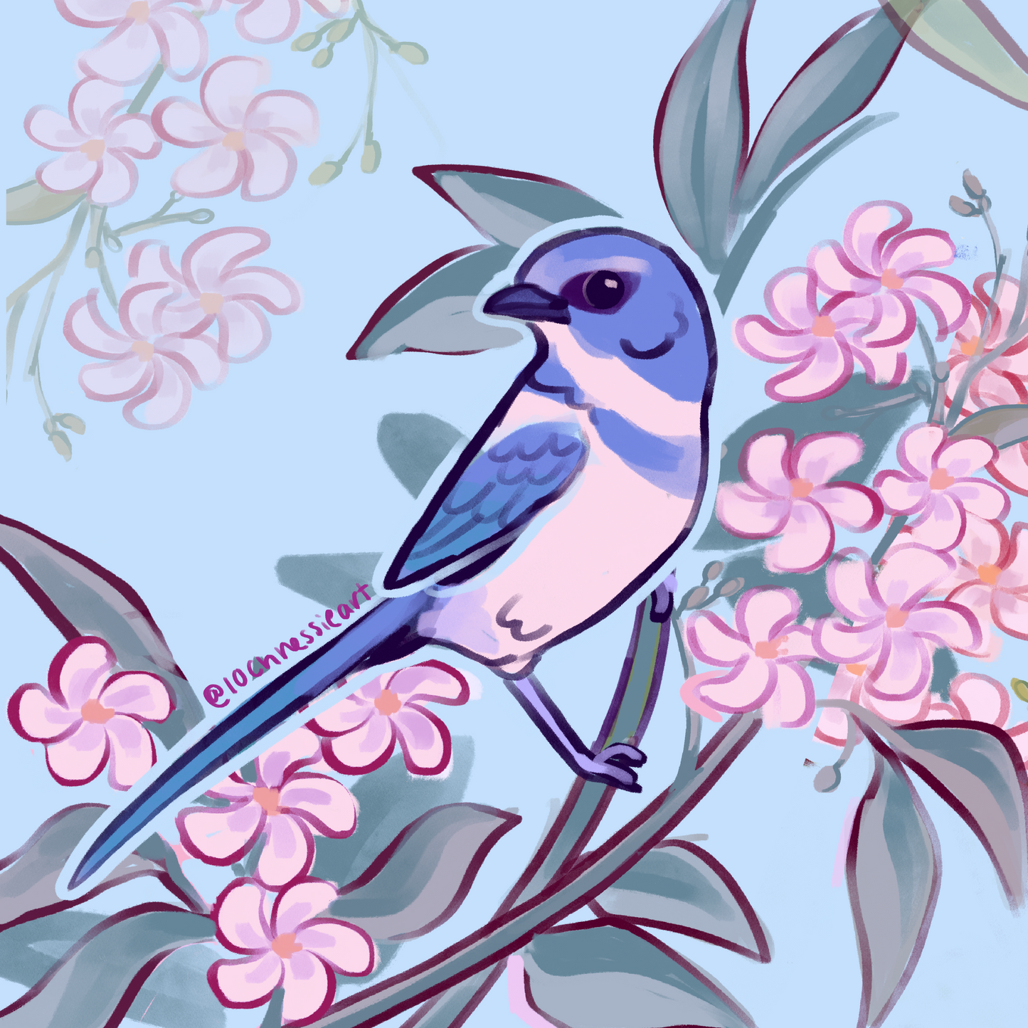 Avian August Prints