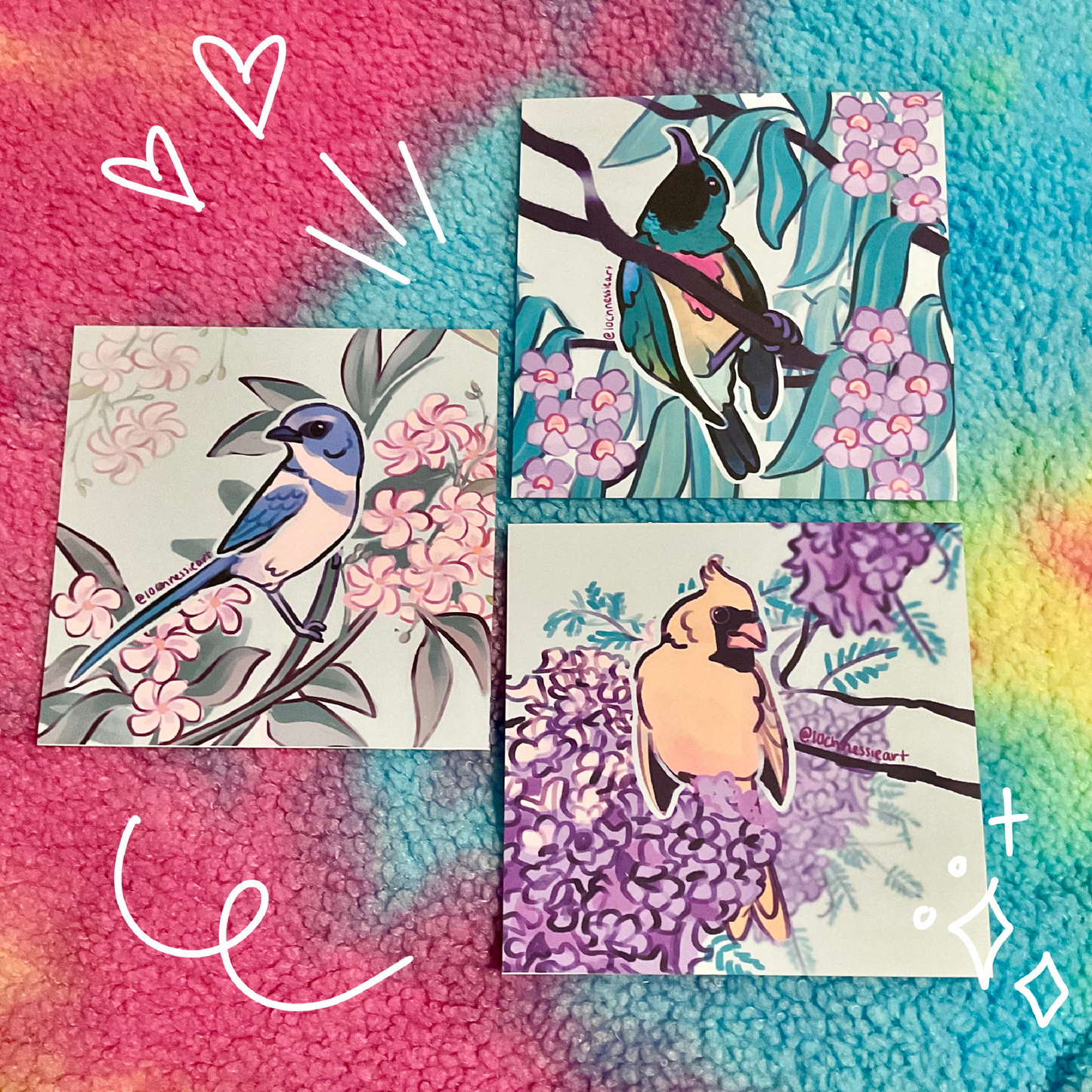 Avian August Prints