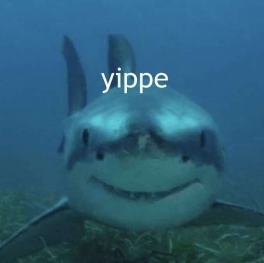 Yippe Shark Sticker